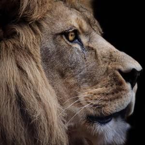 Meet your Posher, Marlene